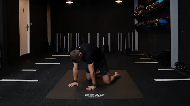 Quadruped Spine Flexion ISO