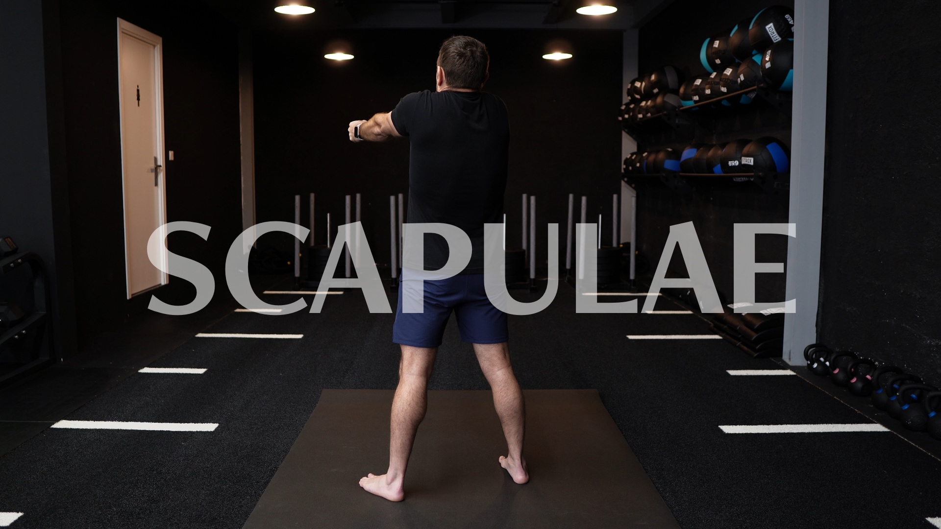 Joint Focus: SCAPULA
