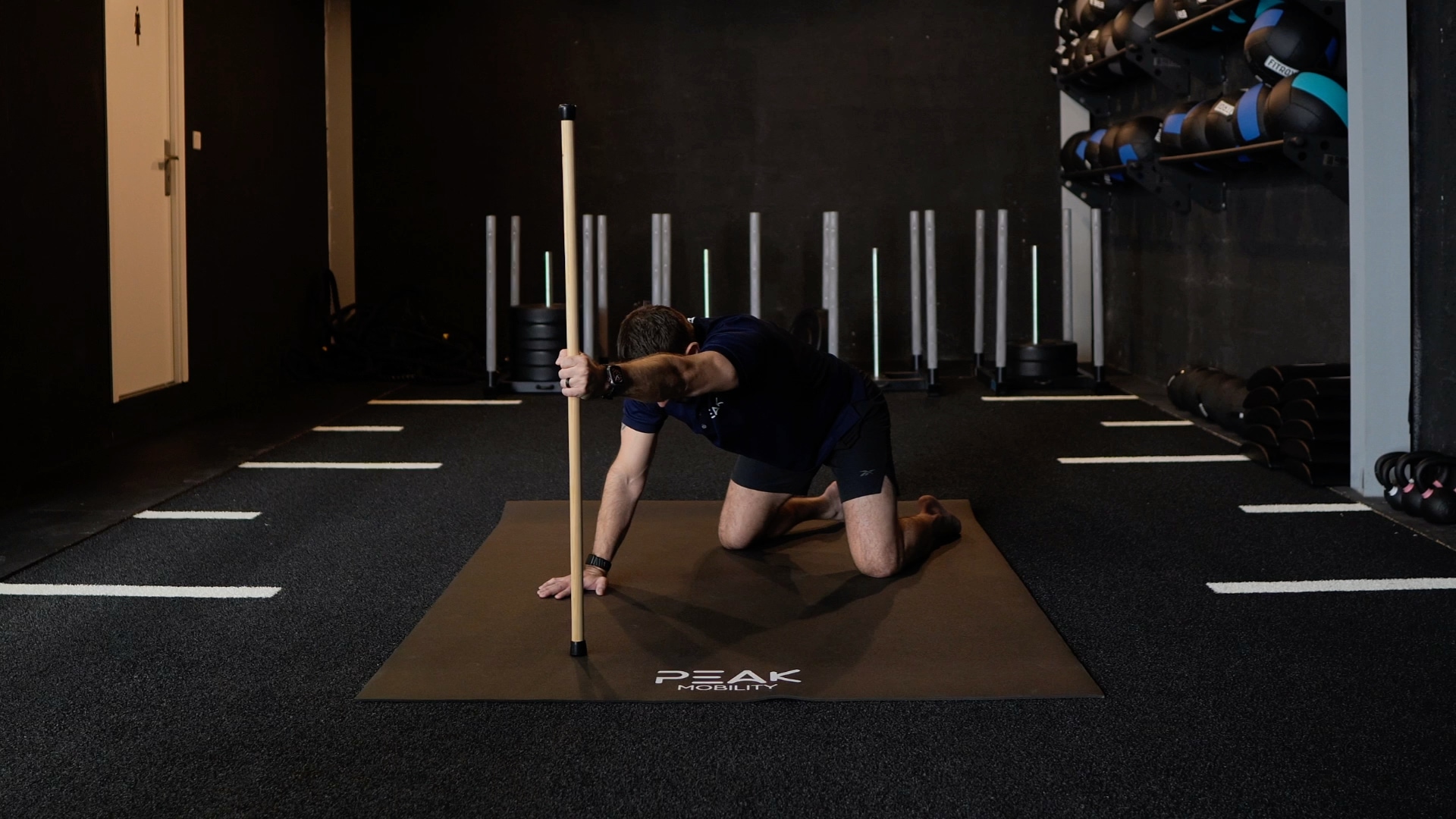 Quadruped Shoulder Flexion PAILs/RAILs