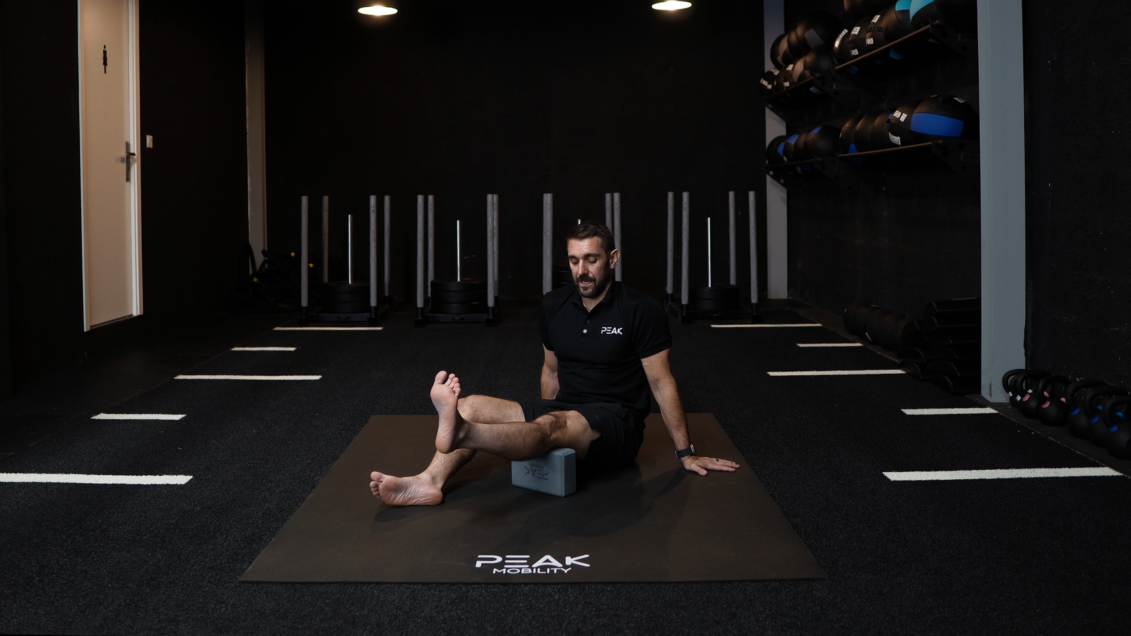 Seated Knee Hinges