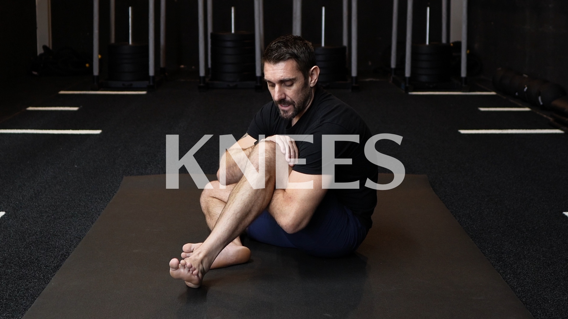 Joint Focus: KNEES