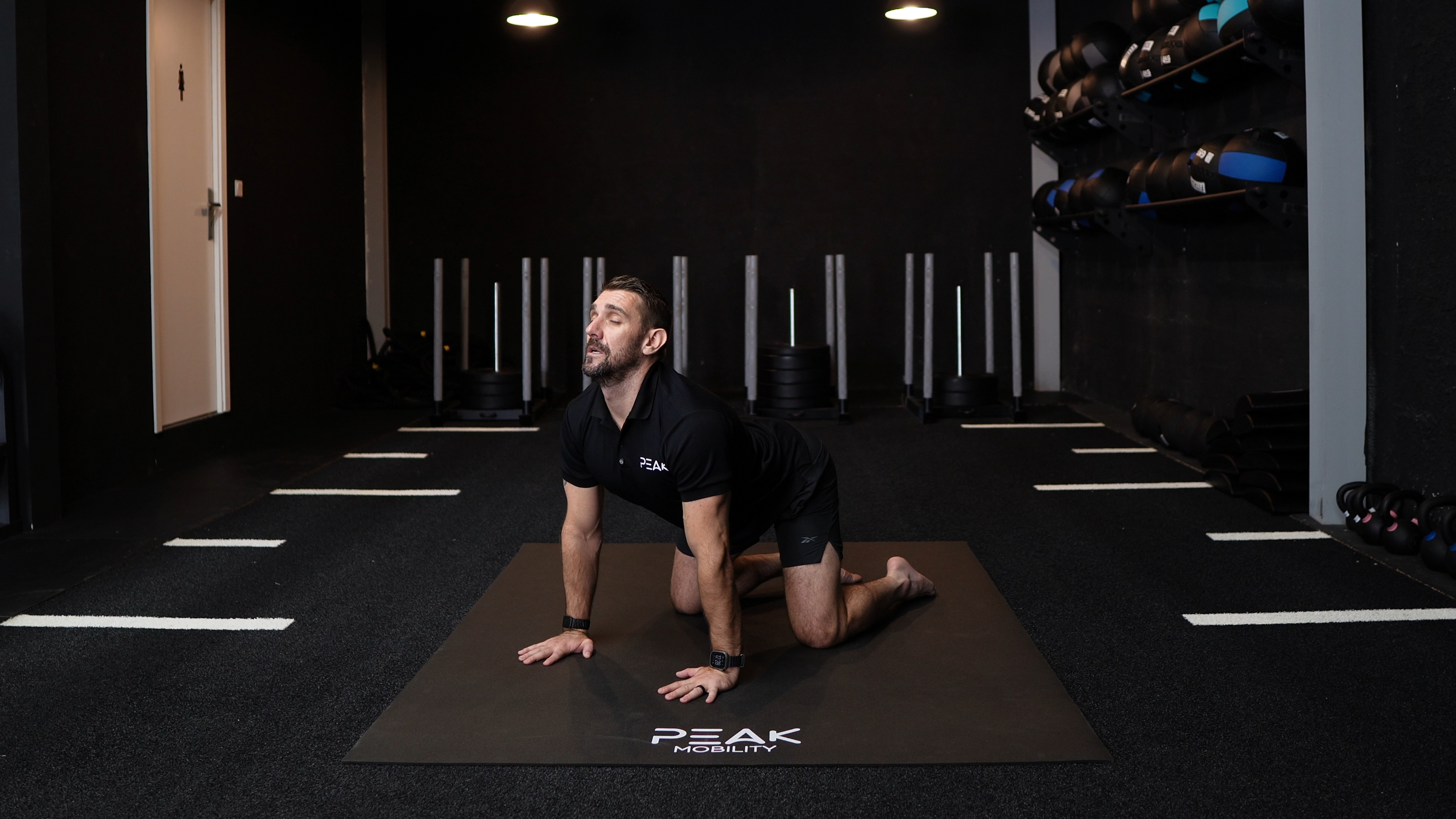 Quadruped Spine Extension ISO
