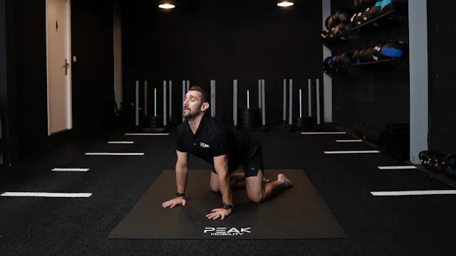 Quadruped Spine Extension ISO