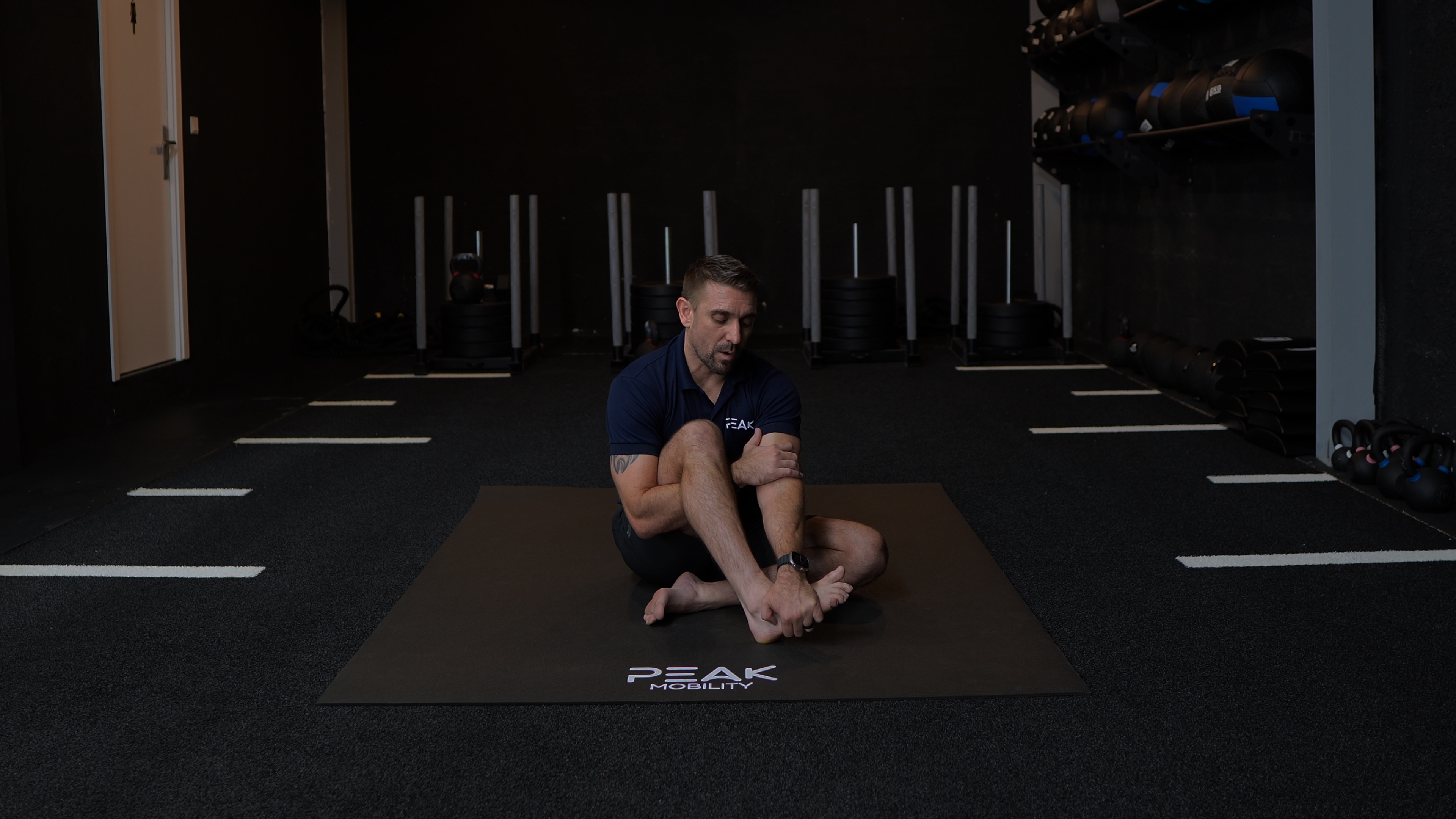 Seated Knee Internal (IR) PAILs/RAILs