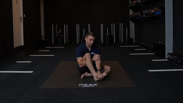 Seated Knee Internal (IR) PAILs/RAILs