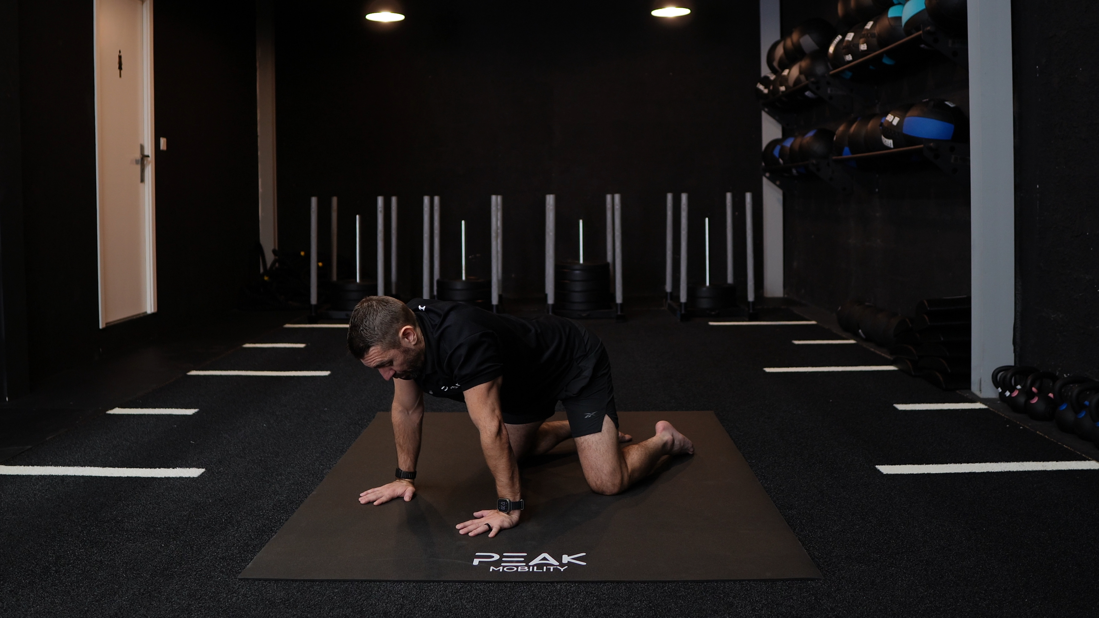 Quadruped Scapular Retraction ISO