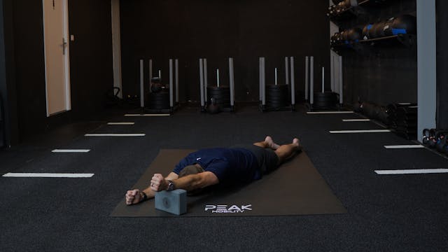 Prone Shoulder Flexion PAILs/RAILs
