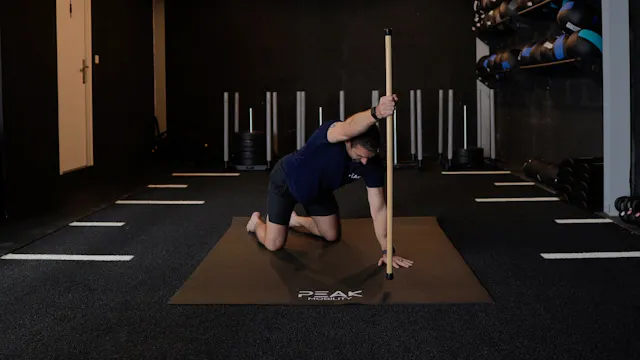 Quadruped Shoulder Flexion Lift-offs