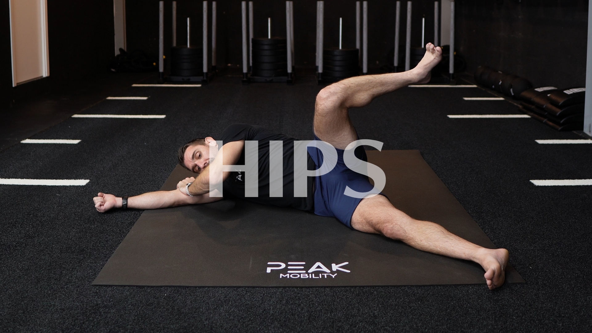 Joint Focus: HIPS