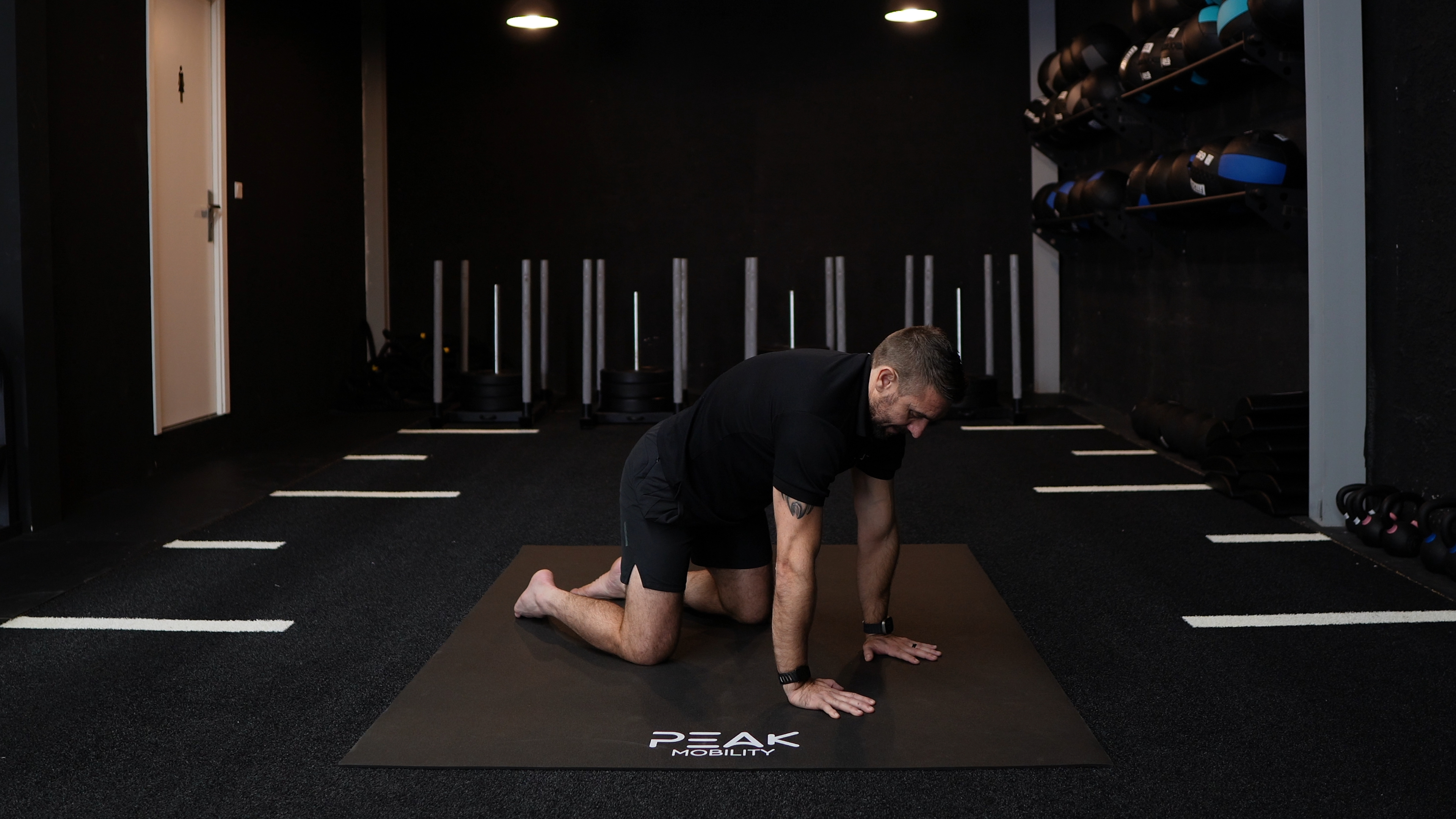 Quadruped Scapular Protraction ISO