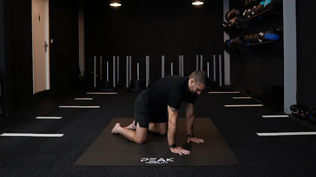 Quadruped Scapular Protraction ISO