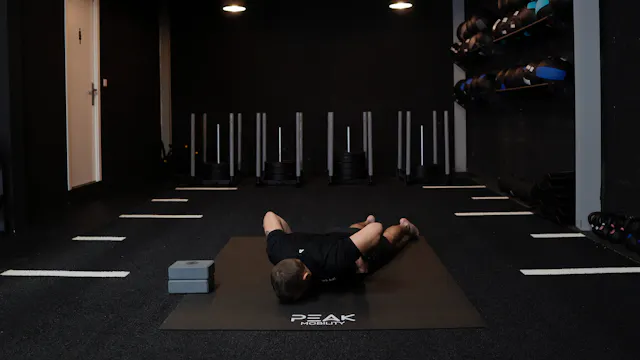 Prone Shoulder Extension PAILs/RAILs