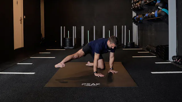 Modified Quadruped Hip Abduction Lift...