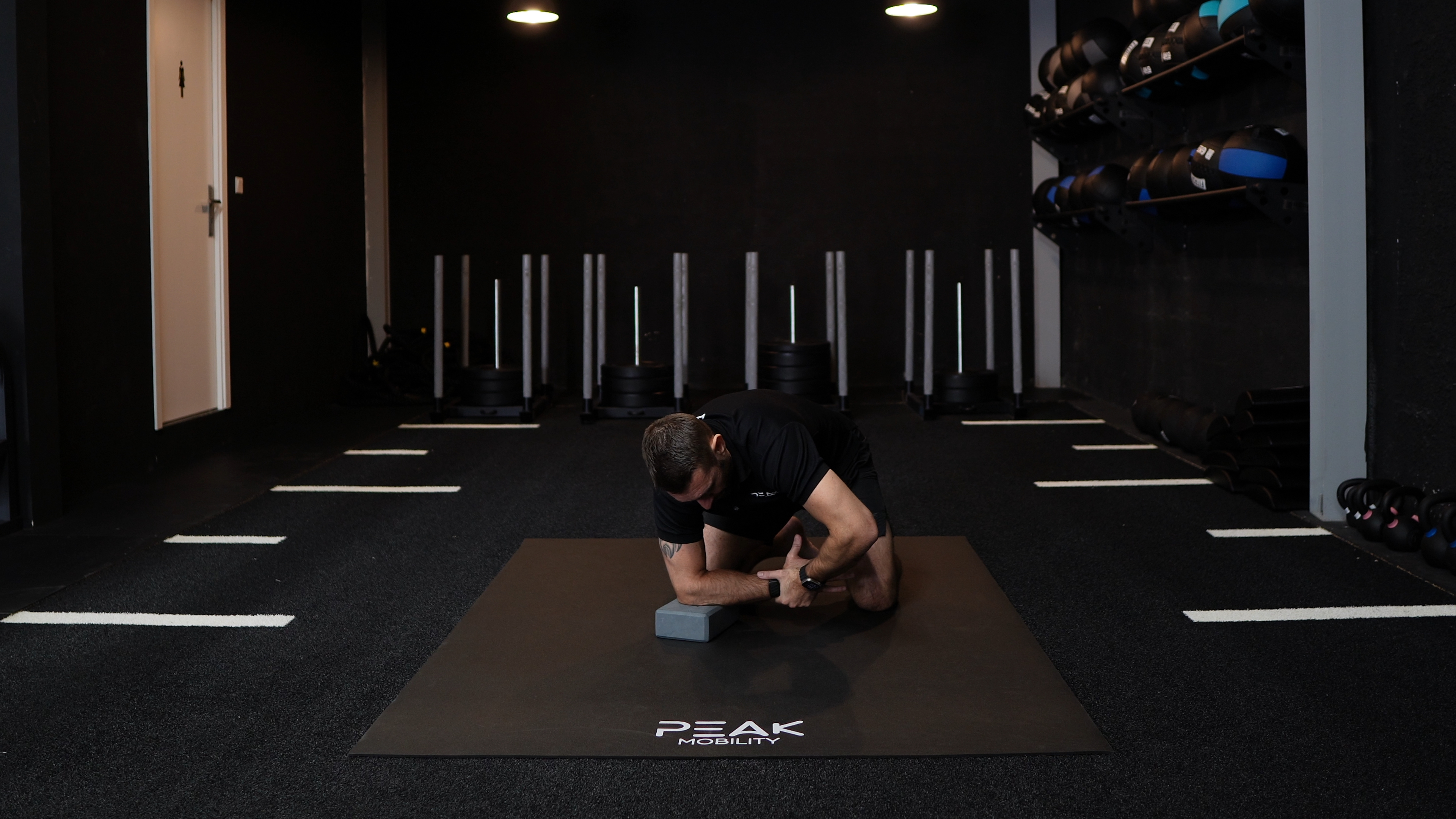Quadruped Shoulder Internal Rotation (IR) PAILs/RAILs