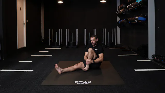 Seated Knee Flexion PAILs/RAILs