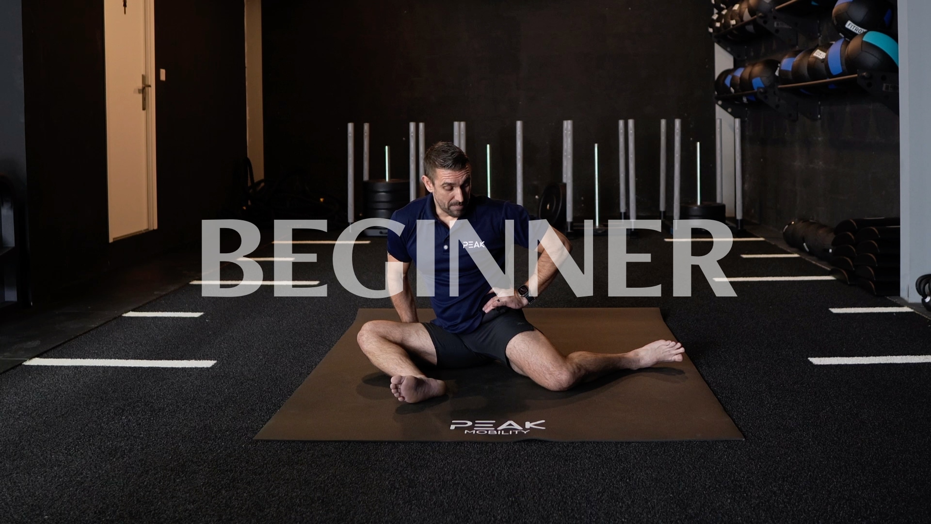 Beginner