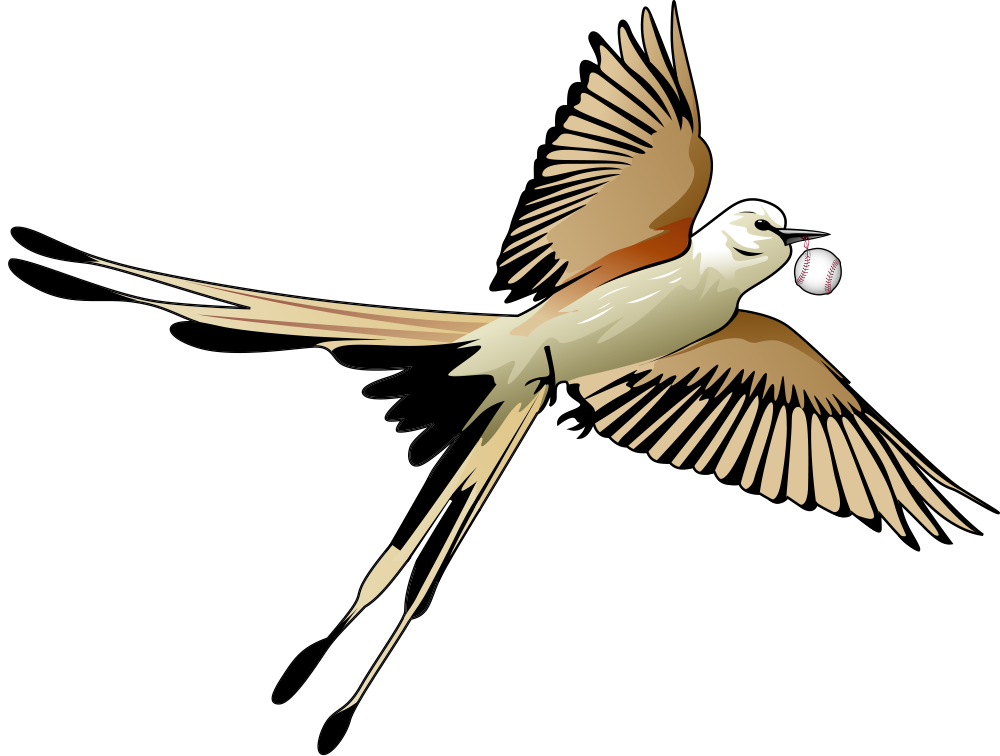 Blackwell Flycatchers