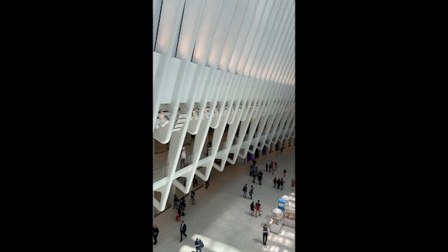 Oculus