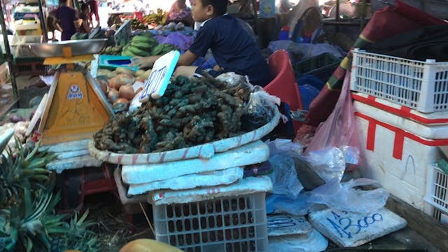 More on the market