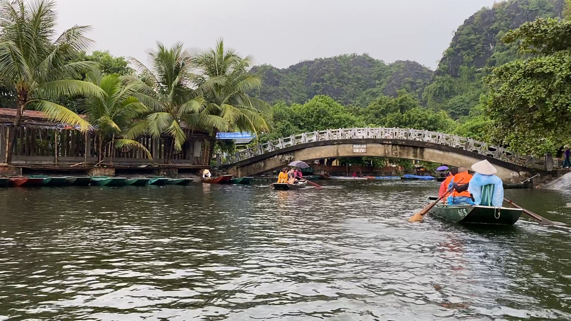 Row row row your boat