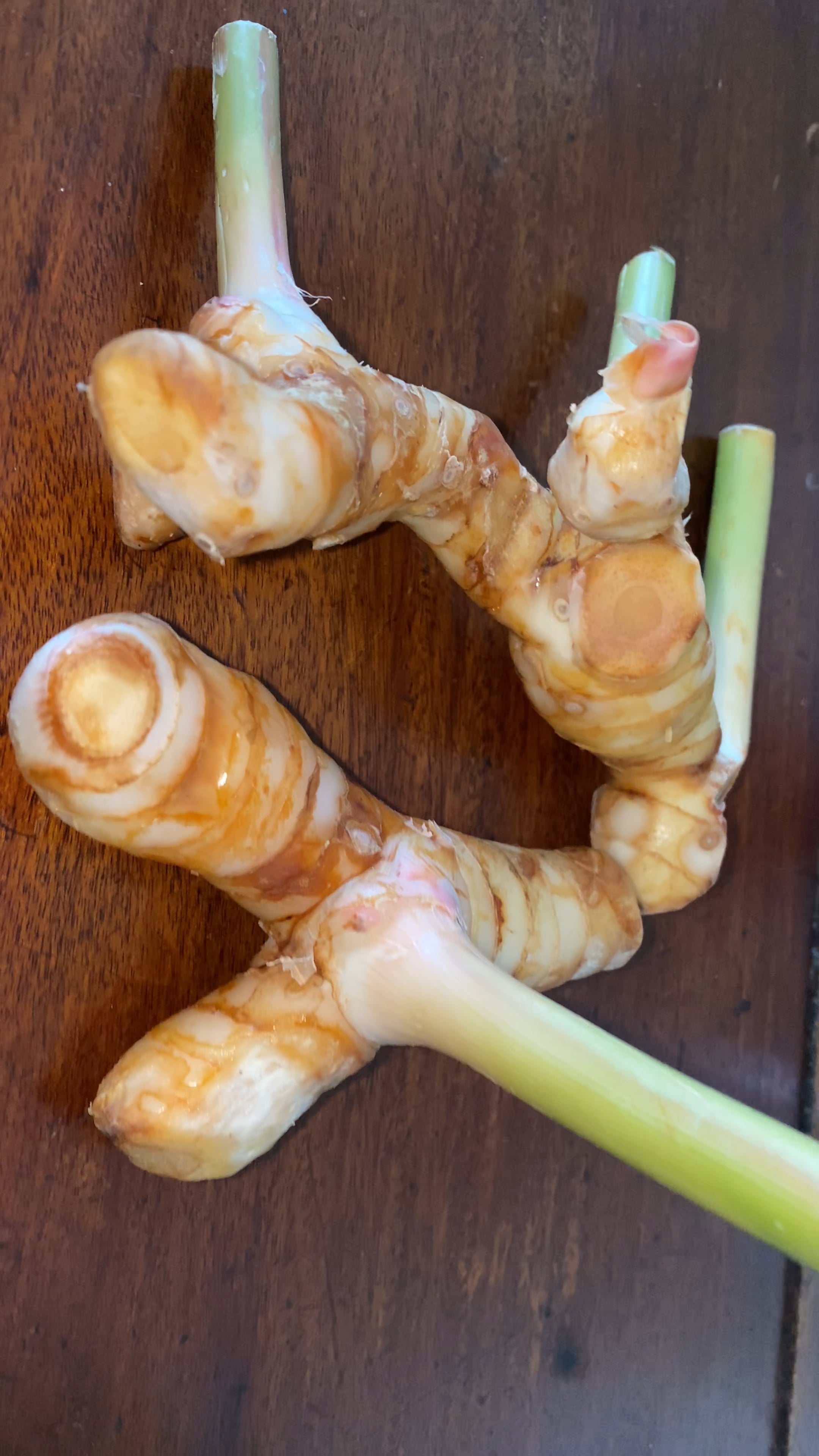 Galangal