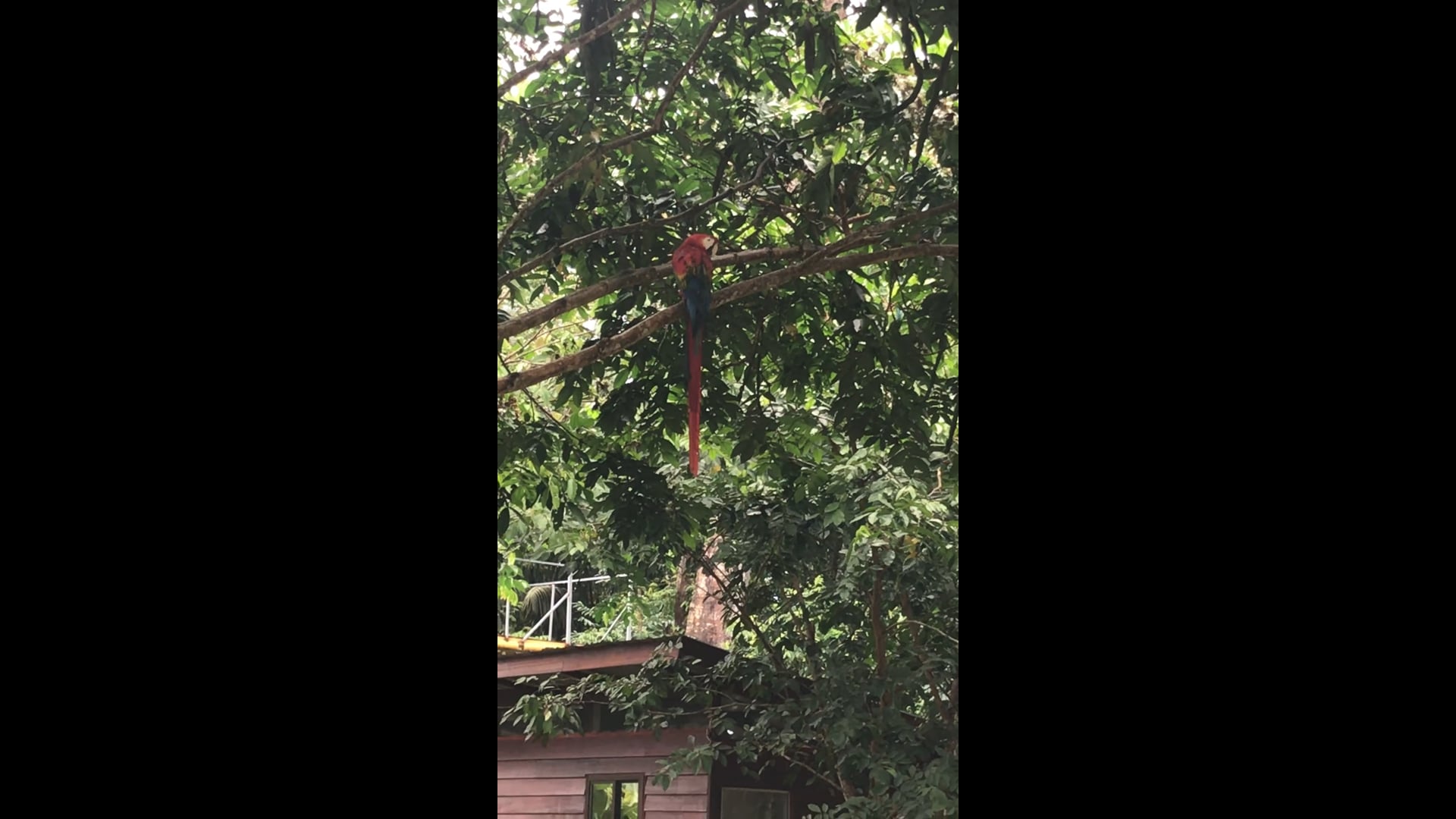 Hubby his friend the Are