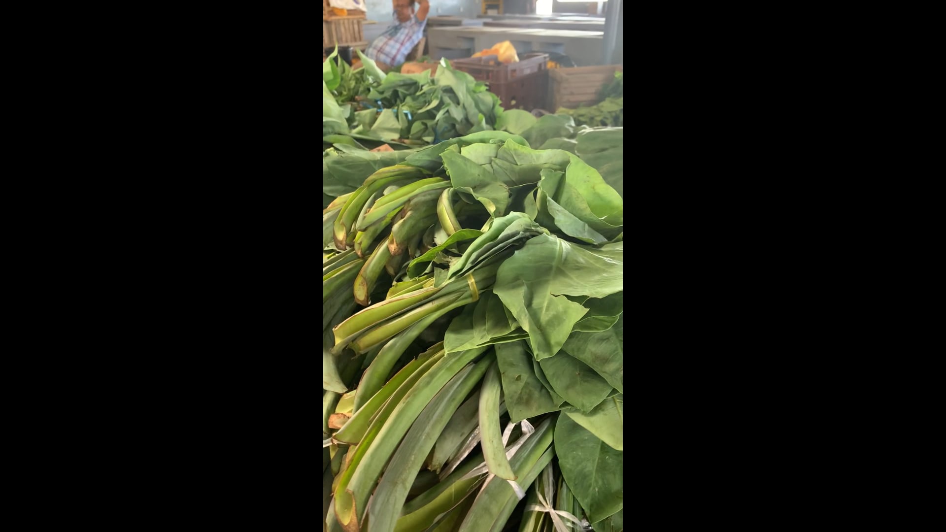 On the market in Suriname