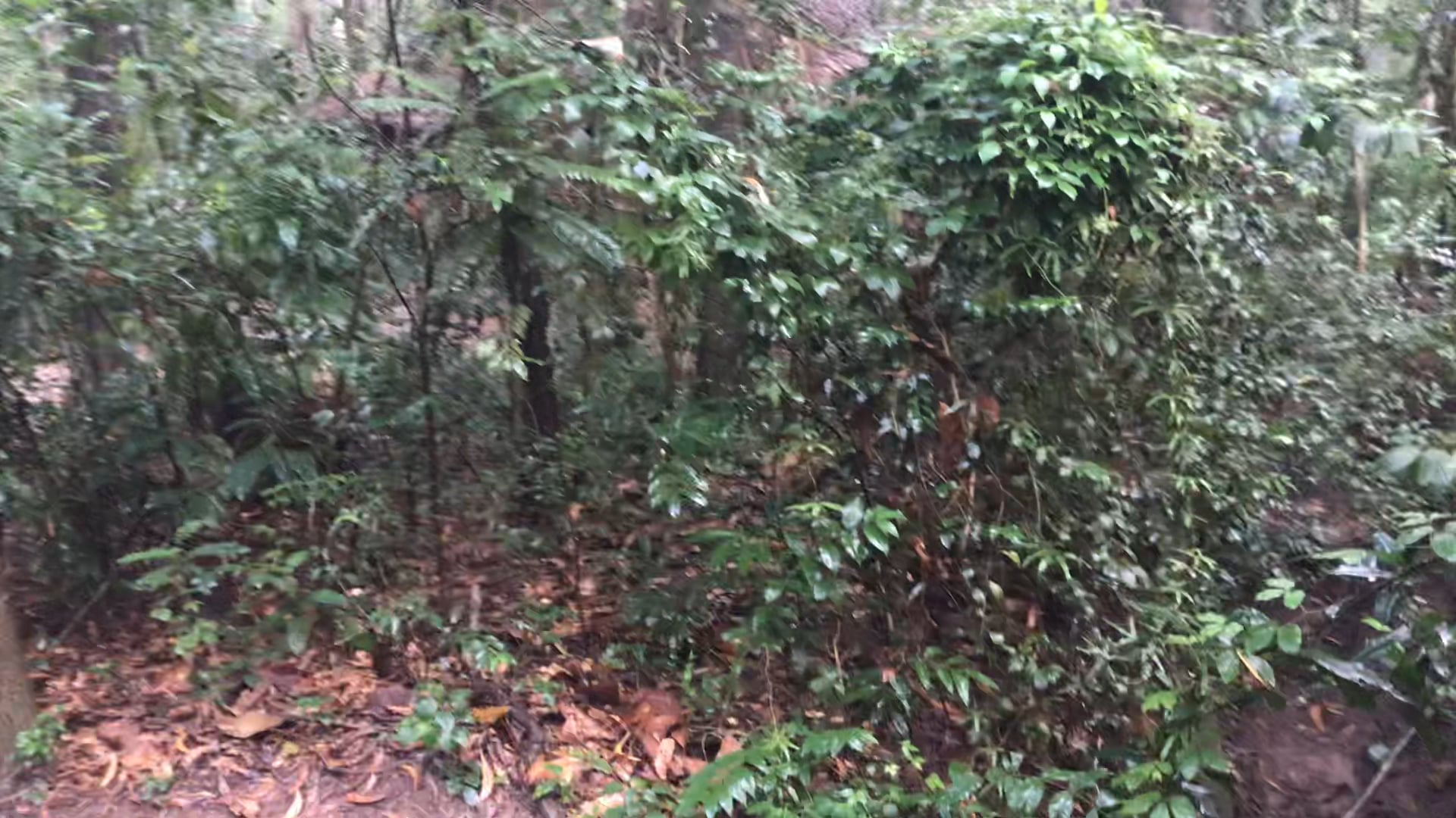 Museum of the tunnels