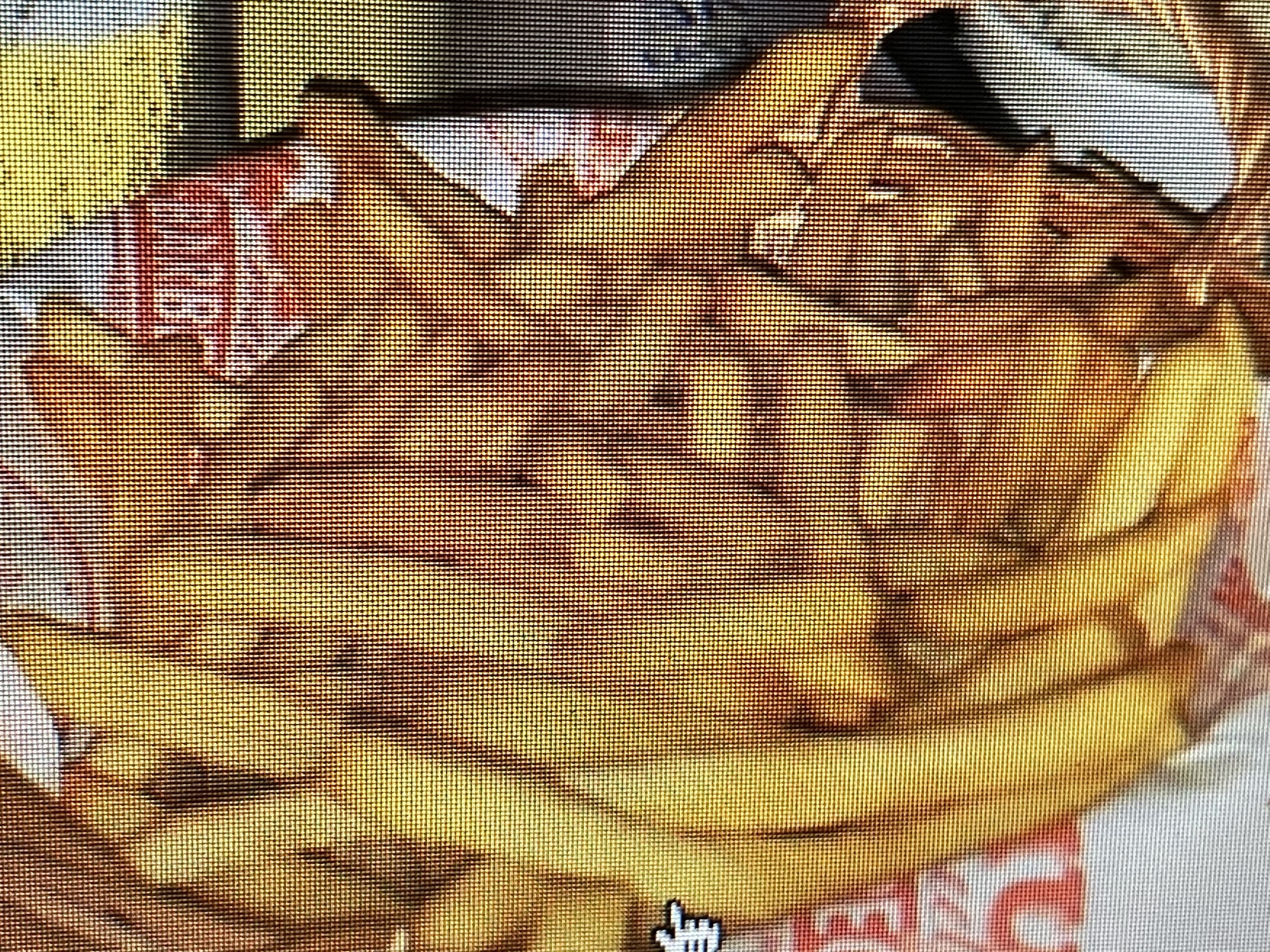 Not real truffle fries