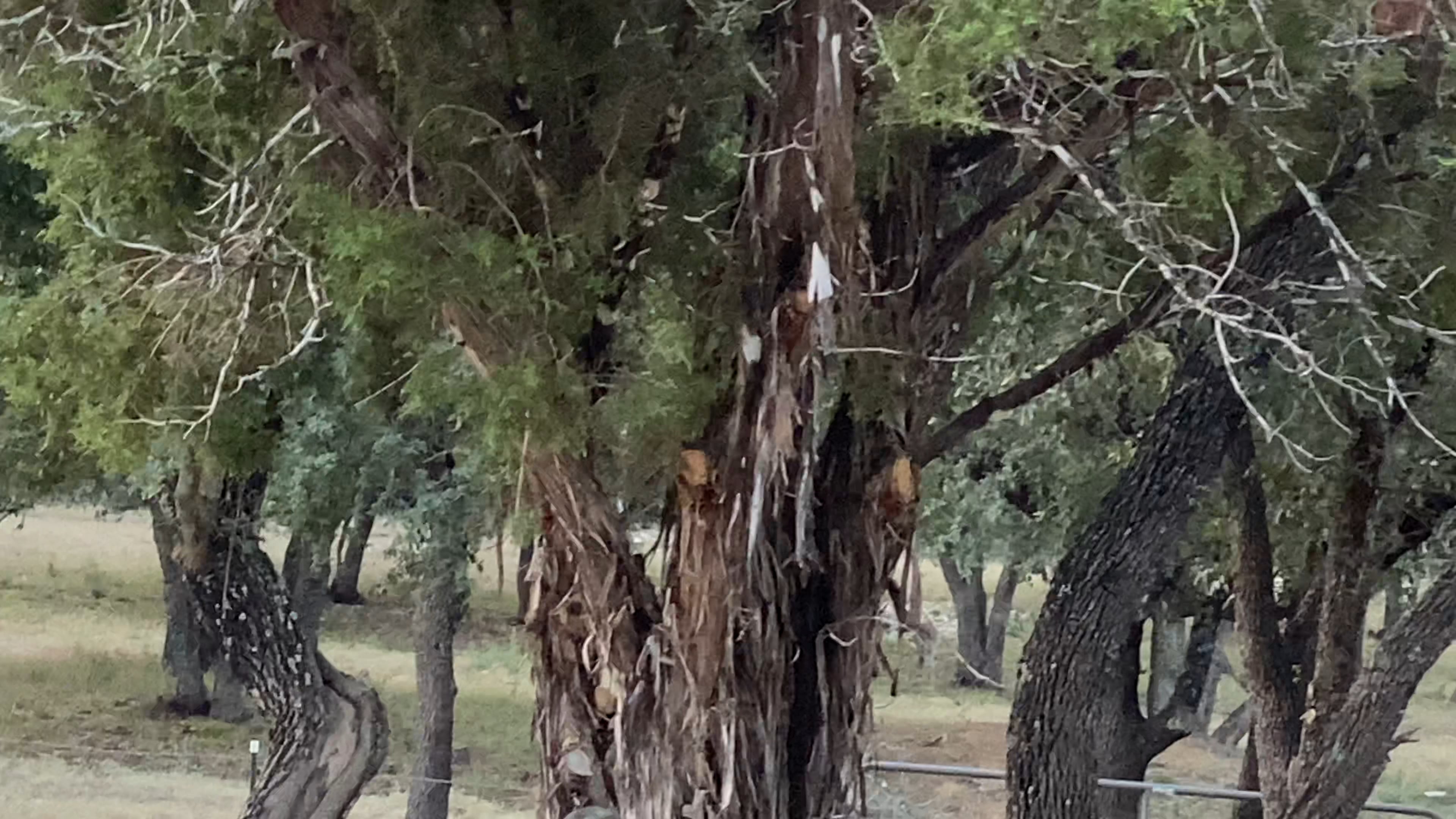 Early in the morning in Utopia