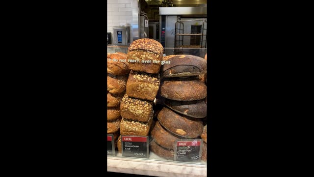 Bread