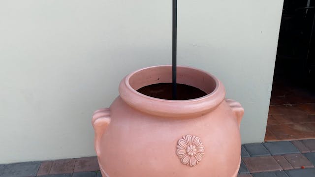 Gustoso in Aruba