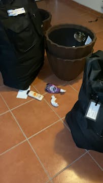 Coming home in the mess