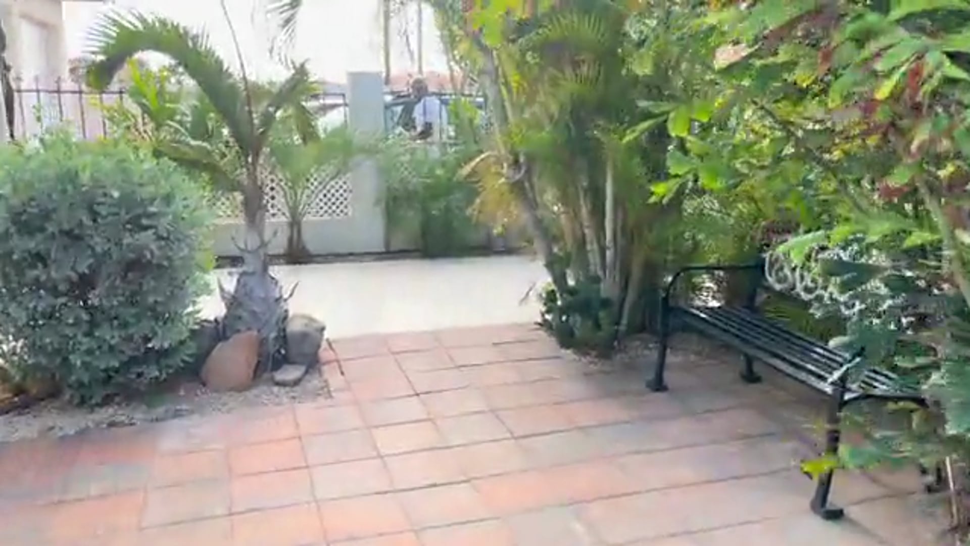 Karin and Orfeu coming over and they are from Suriname