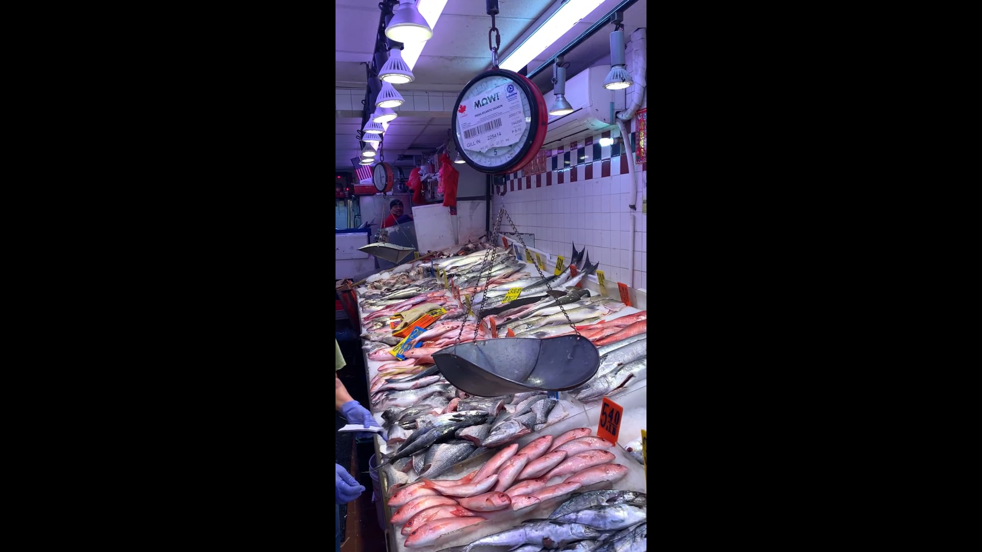 Fish Fish in China town in NYC