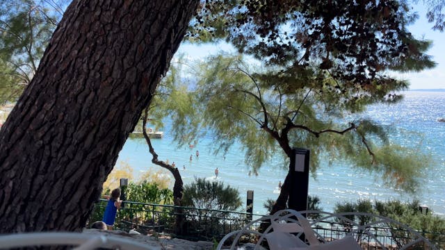 Dvor, Split Croatia