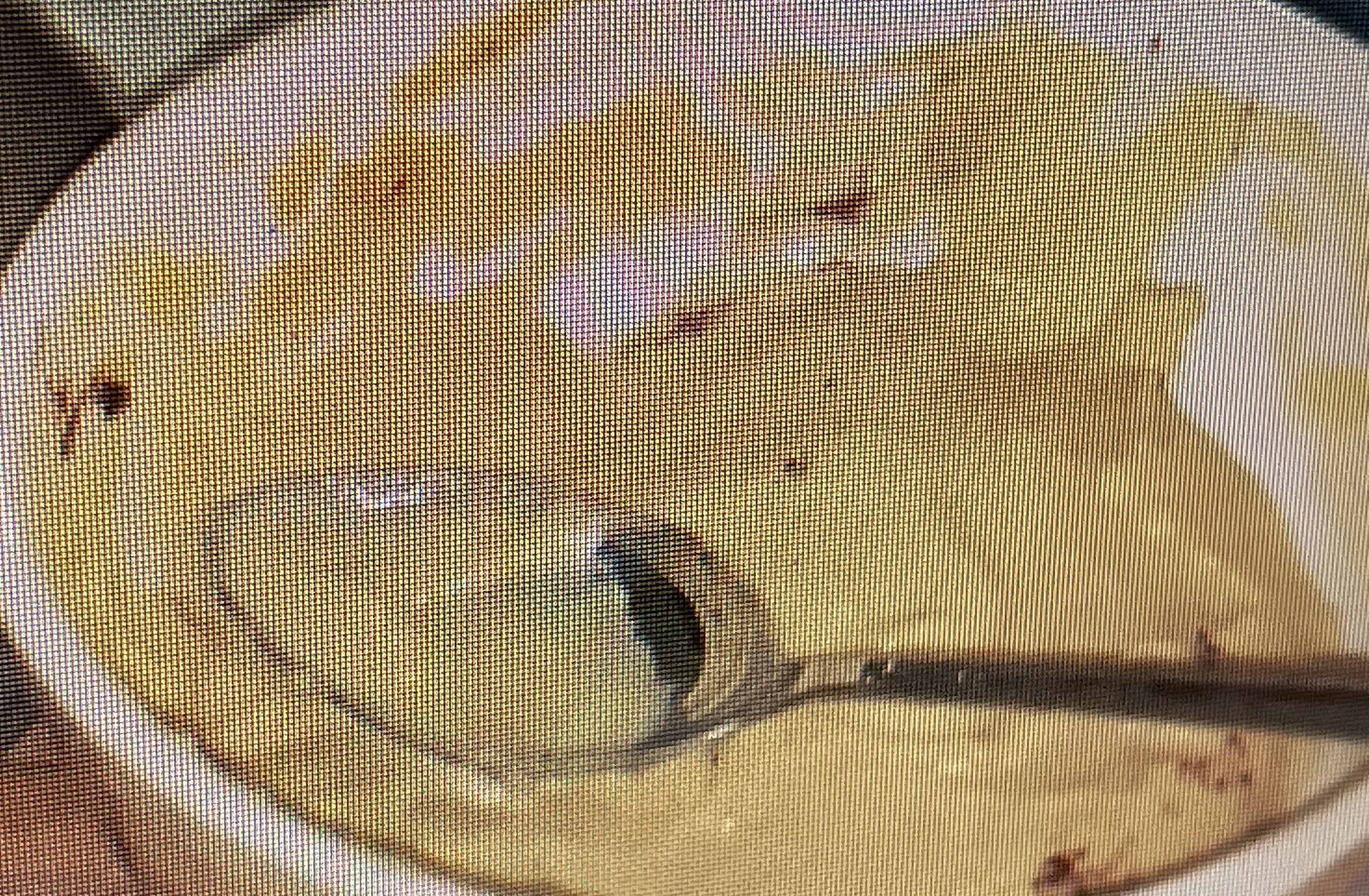 Grateful for great desserts