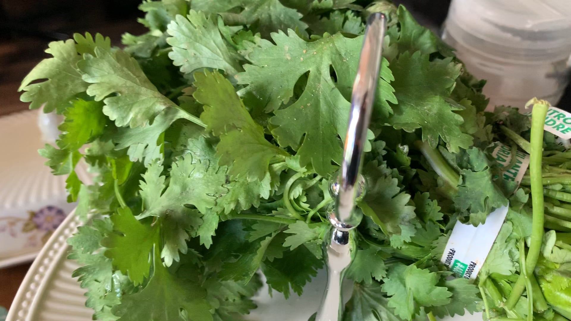 Chopped Cilantro