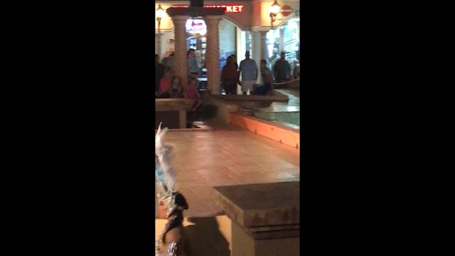Dancers in Aruba
