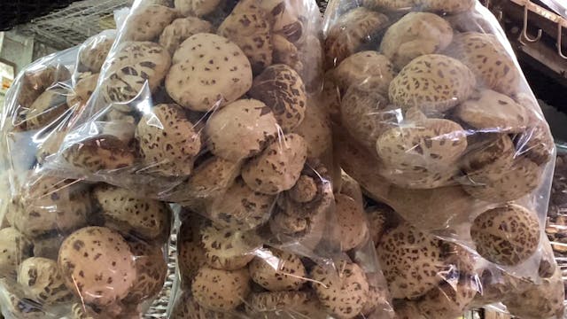Spices  and dried mushrooms on the ma...