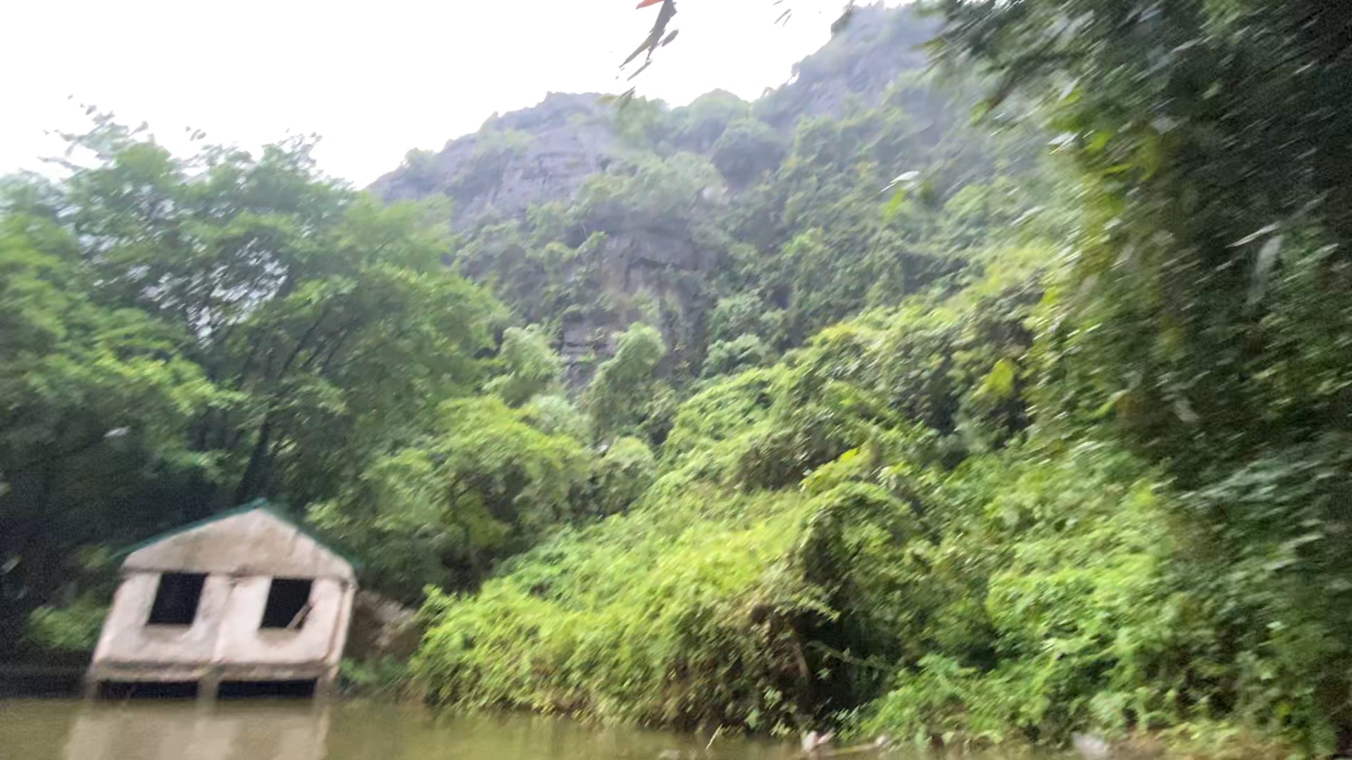 Caves at the mai tai trip