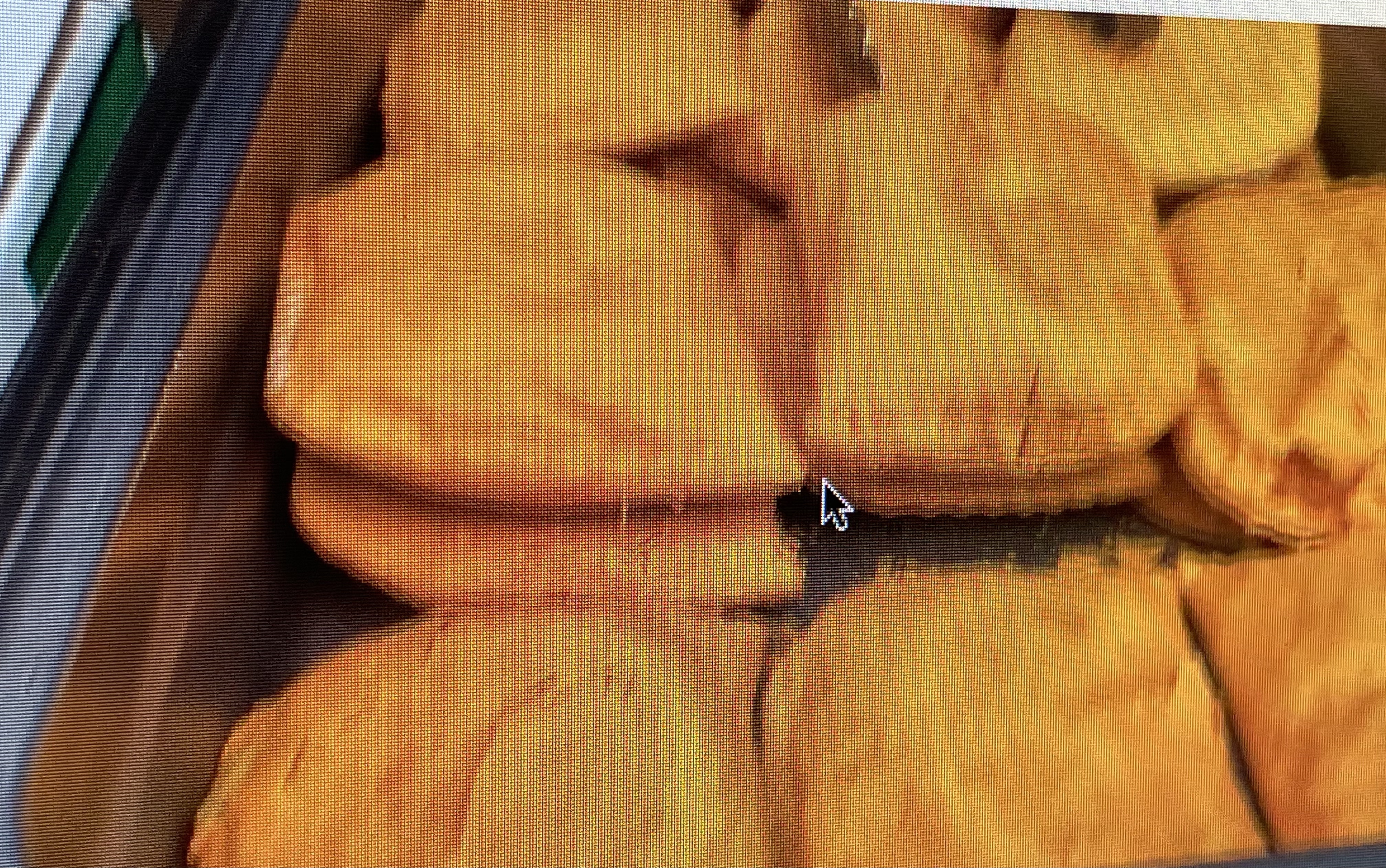 Jamaican beef Pattie 