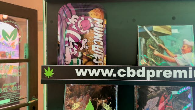 Weed in Prague, Czech Rep.