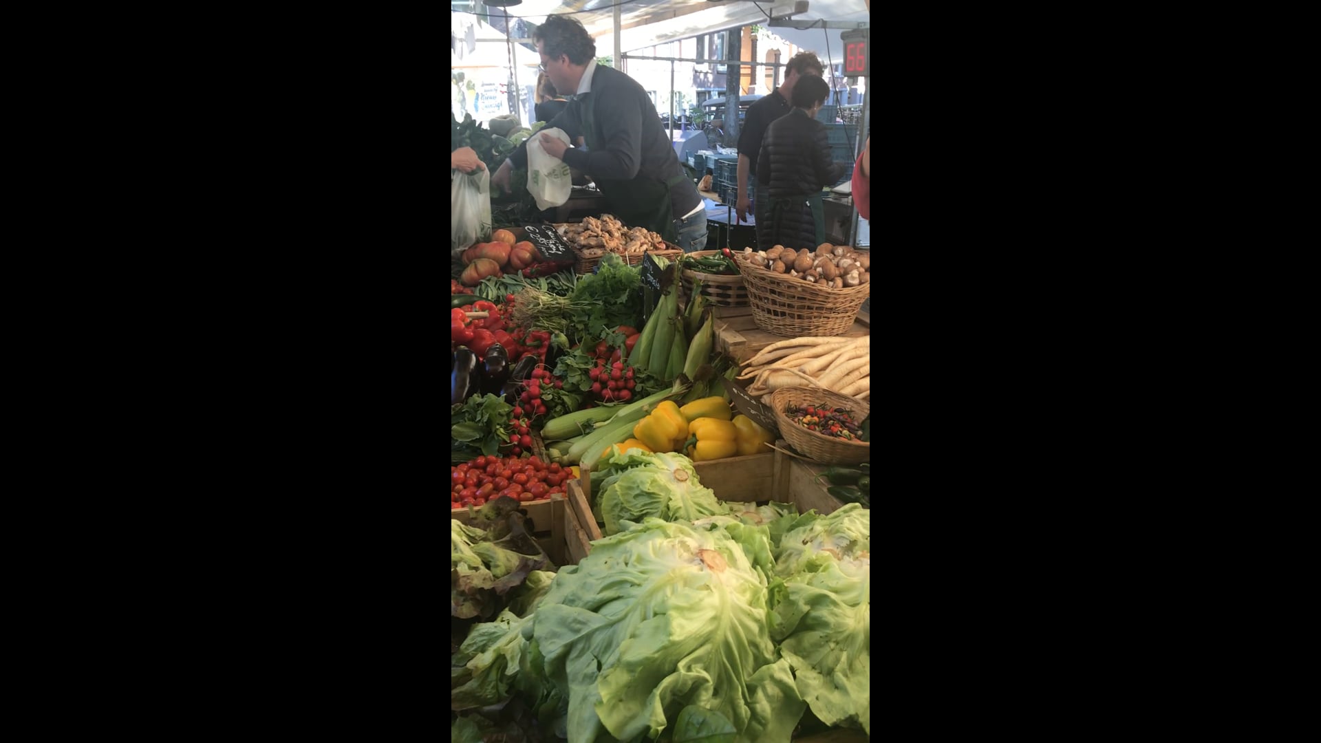 Farmers market on 43rd street