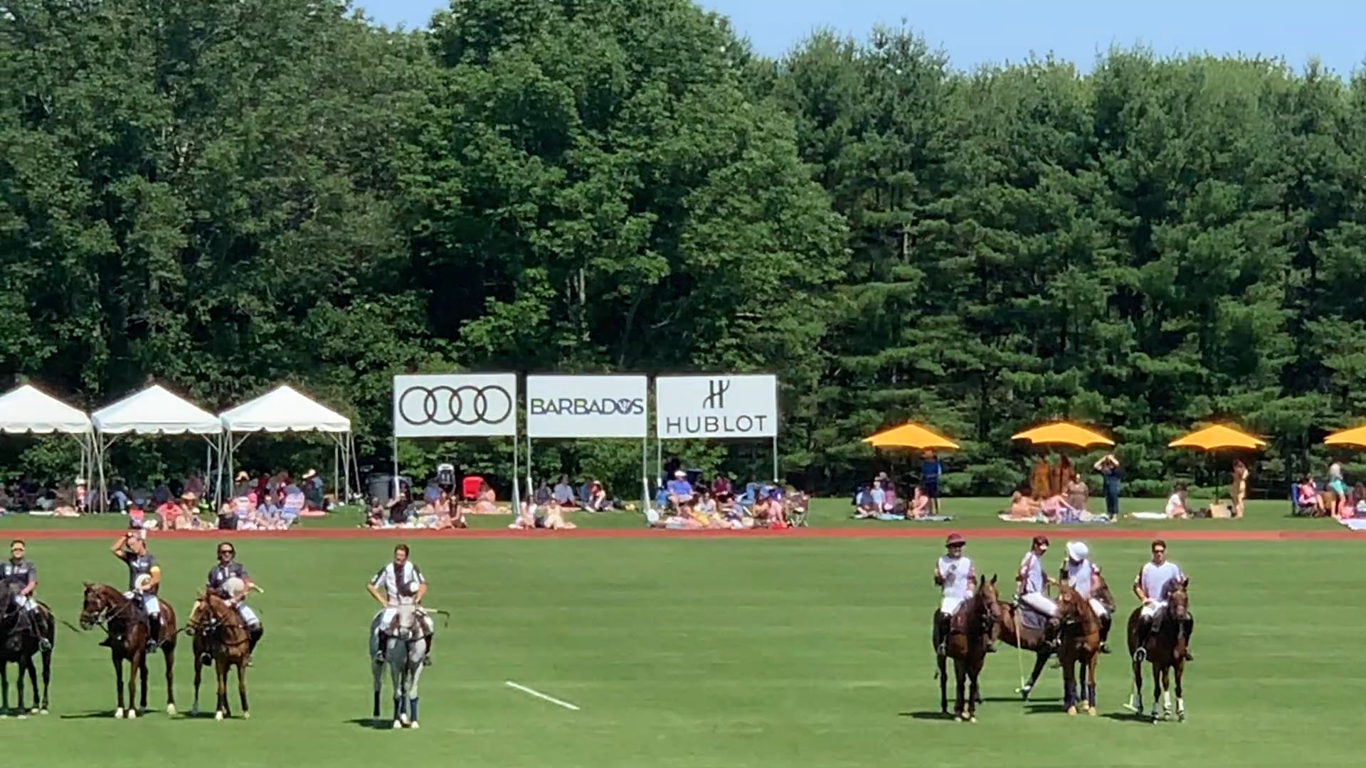 Polo 2019