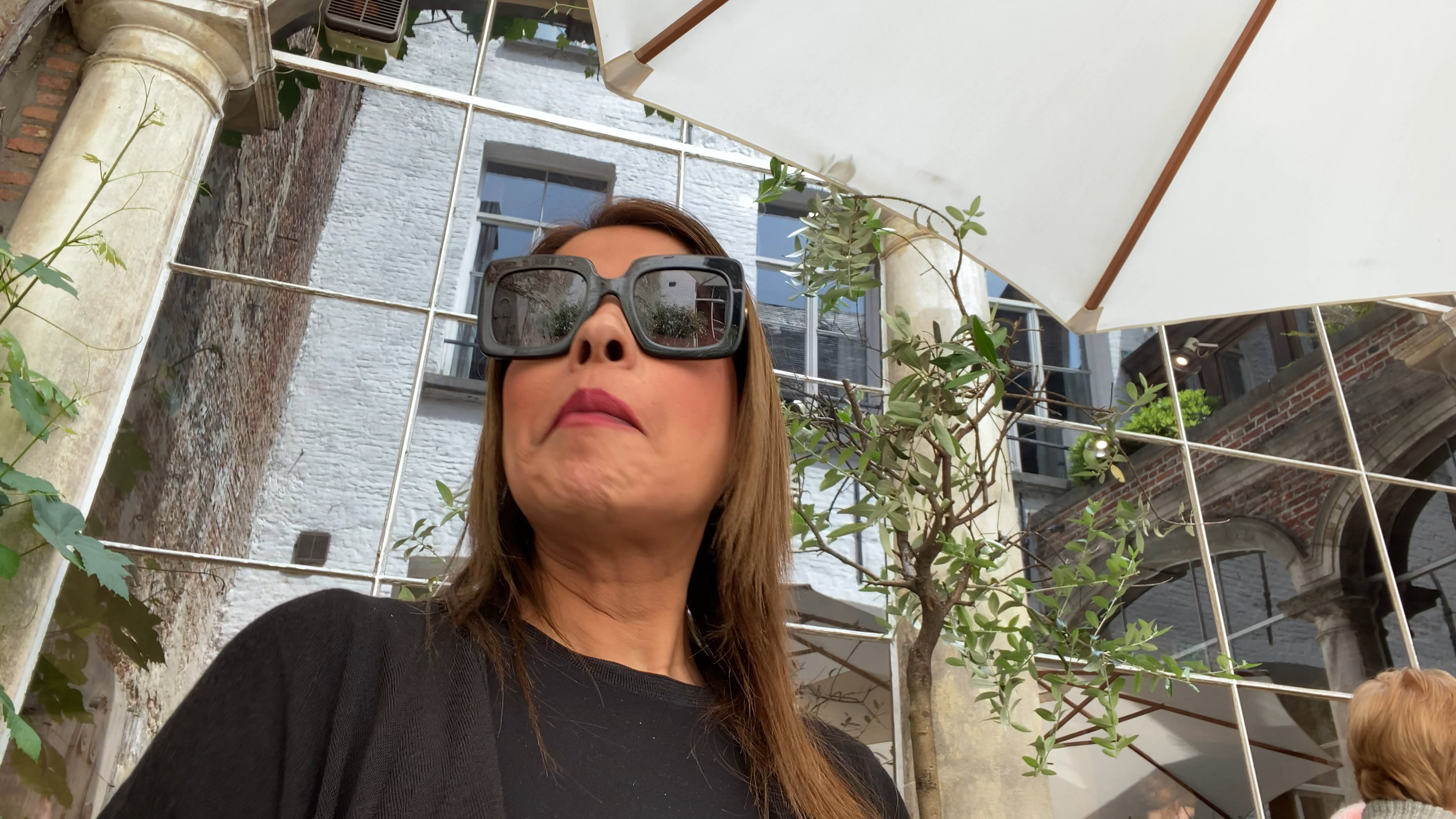 Antwerp in the garden