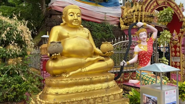 Can I take you home buddha
