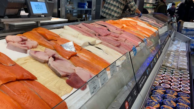 WILD SALMON
