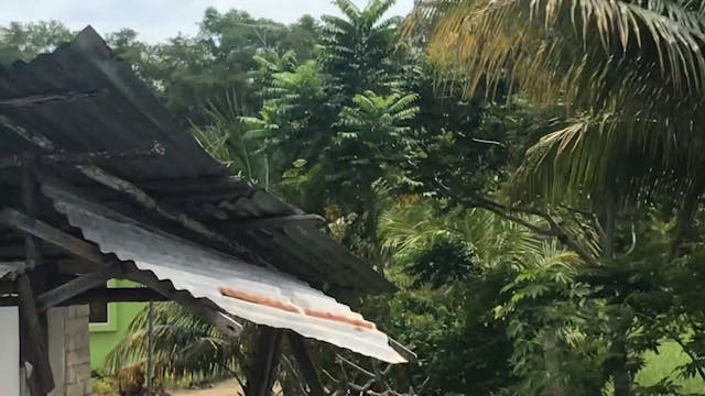 Coronie in Suriname