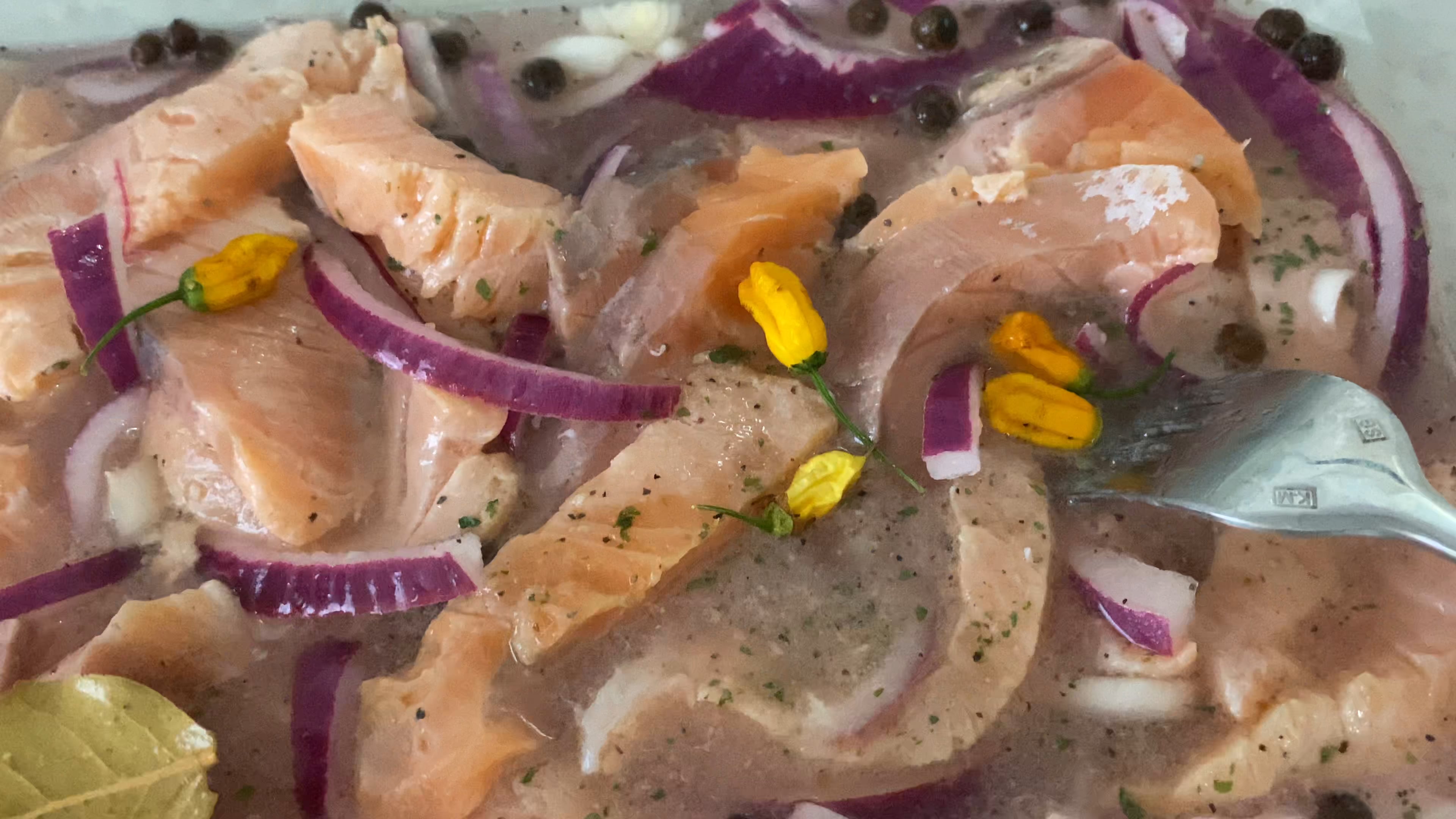 Salmon ceviche